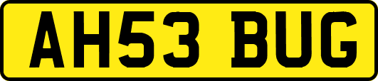 AH53BUG