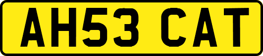 AH53CAT