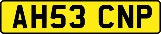 AH53CNP