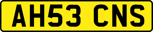 AH53CNS