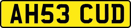AH53CUD
