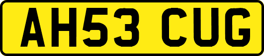 AH53CUG