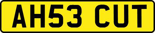 AH53CUT