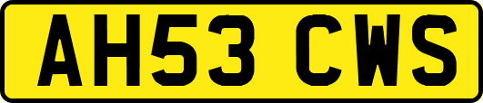 AH53CWS