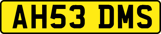 AH53DMS