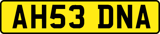 AH53DNA