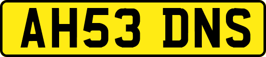 AH53DNS