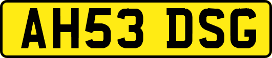 AH53DSG