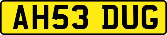 AH53DUG