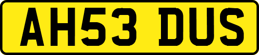 AH53DUS