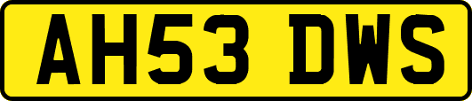 AH53DWS