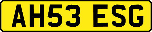 AH53ESG