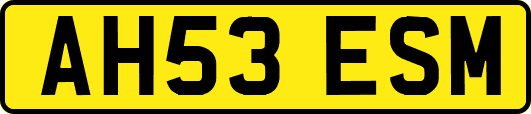 AH53ESM