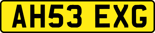 AH53EXG