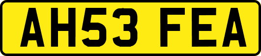 AH53FEA