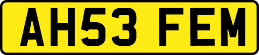 AH53FEM