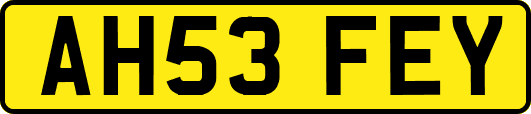 AH53FEY