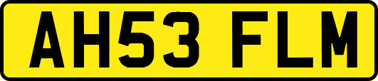 AH53FLM