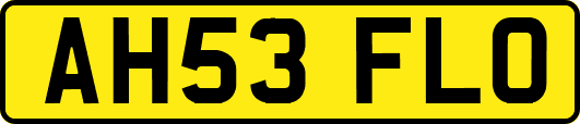 AH53FLO