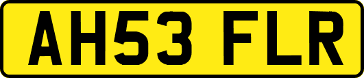 AH53FLR