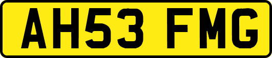 AH53FMG