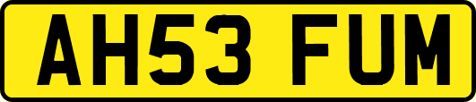 AH53FUM