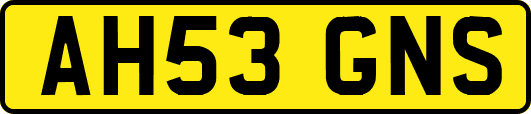AH53GNS
