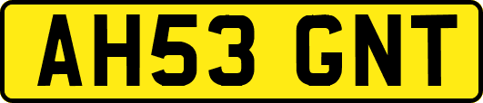 AH53GNT