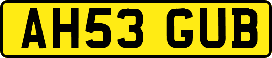 AH53GUB
