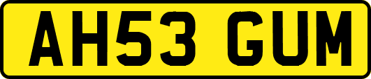 AH53GUM
