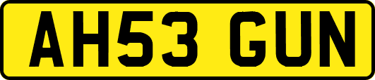 AH53GUN