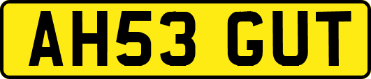 AH53GUT