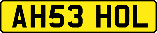 AH53HOL