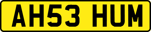 AH53HUM