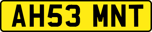 AH53MNT
