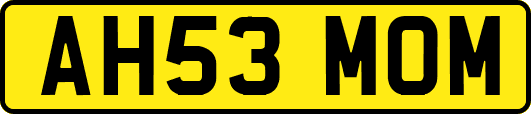 AH53MOM