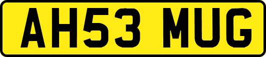 AH53MUG