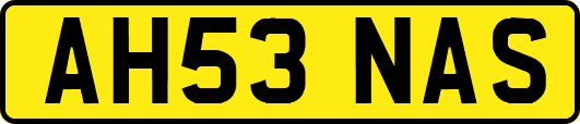 AH53NAS