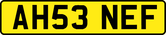 AH53NEF