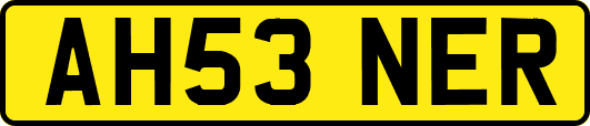 AH53NER