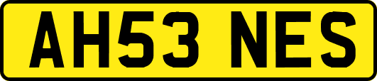AH53NES
