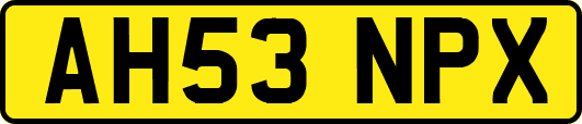 AH53NPX