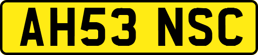 AH53NSC