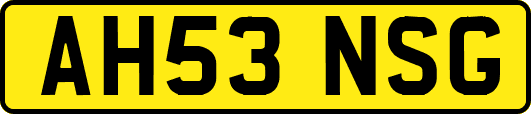 AH53NSG
