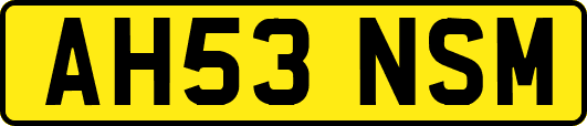 AH53NSM