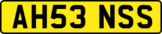 AH53NSS