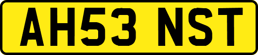 AH53NST