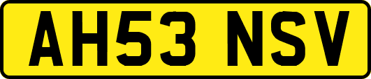 AH53NSV