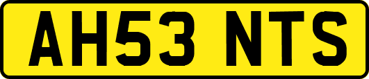 AH53NTS