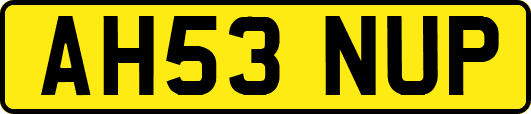 AH53NUP
